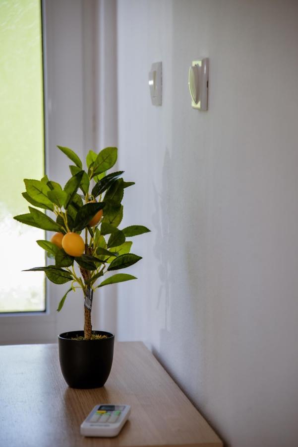 Apartment Nikola Kotor Buitenkant foto